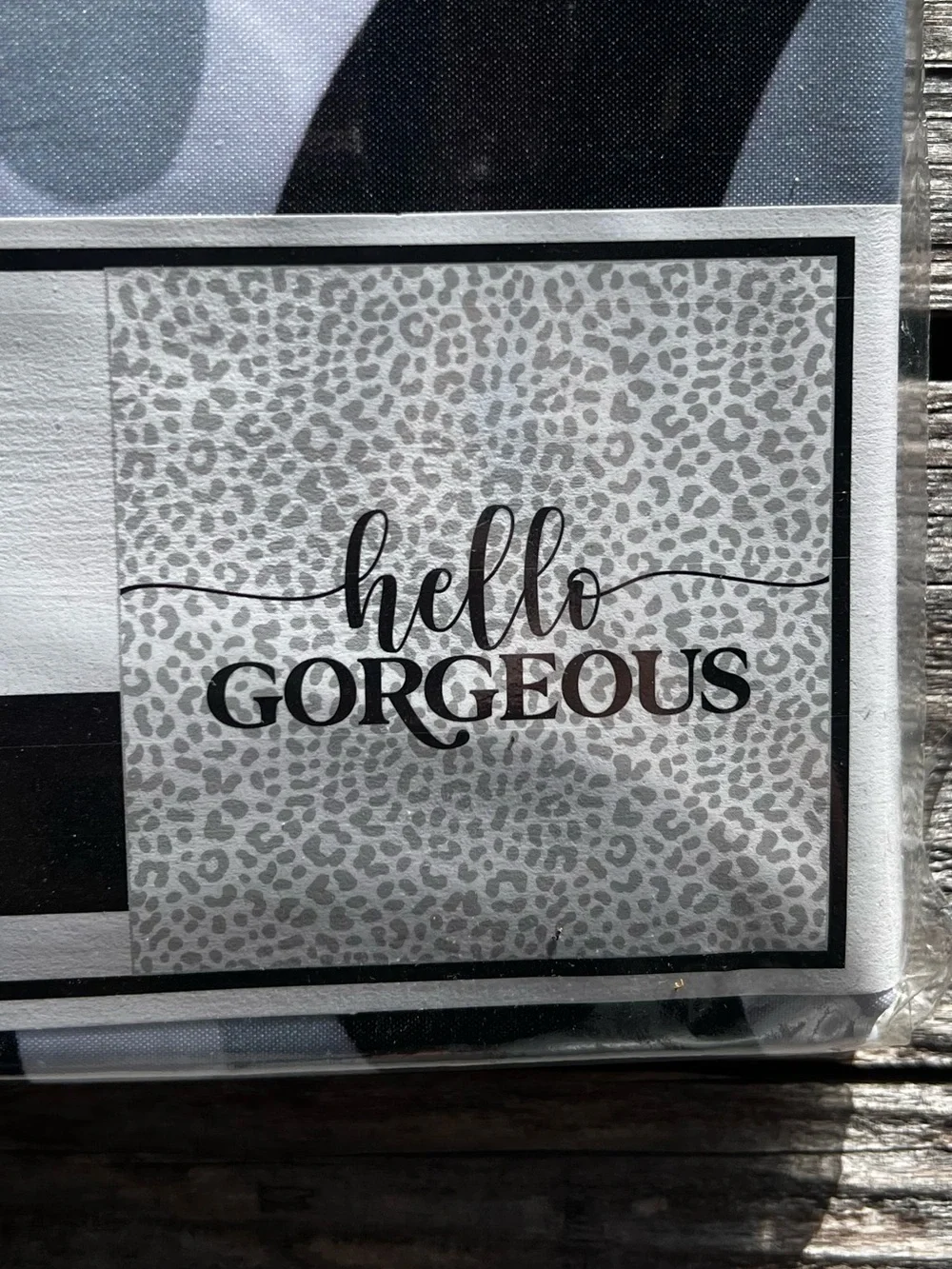 🚿NEW w/tags Shiraleah Hello Gorgeous Shower Curtain White Gray Fabric 72x72